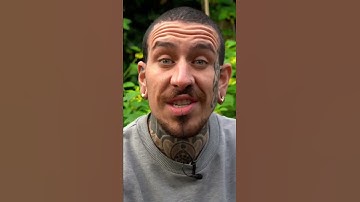 Mulching your Garden? #shorts #short