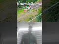 viaila con migo