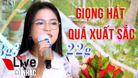Tuyển Tập Tân Chuông Vàng Vọng Cổ 2023 Nguyễn Thị Như Ý CVVC Đăng Nguyên | Live Cổ Nhạc
