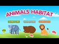 Carnivore herbivore or omnivore a fun quiz for kids