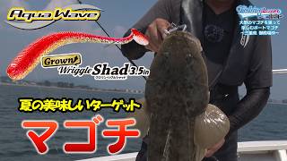FishingLover Tokai #254 Flathead Appear!! A Delicious Summer Target!! screenshot 5
