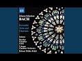 Mass in B Minor, BWV 232: Gloria: Et in terra pax (Chorus)