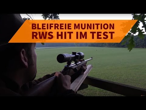 RWS HIT im Praxistest: Wie schlägt sich die bleifreie Jagdmunition auf Rehwild und Schwarzwild?