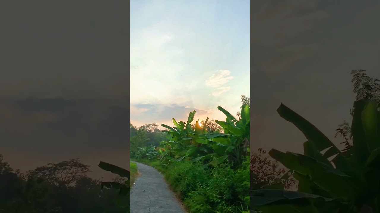 Alam Desa 🌱🌿 