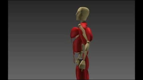 Tron Character Skinning