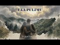 ELA PULİMU YÜKSEL BALTACI 