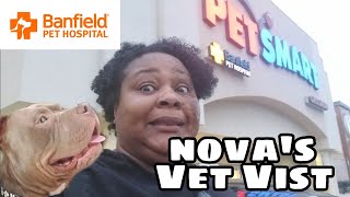 Banfield Pet Hospital | PETSMART | Nova's First Vet Visit as a Sanders |