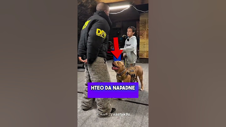 Napao je Dečka Isped Njegovog Psa i Desilo se OVO! 😱