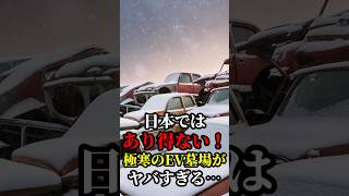 日本では考えられない！EVの実態がヤバすぎた... #日本 #ev #車