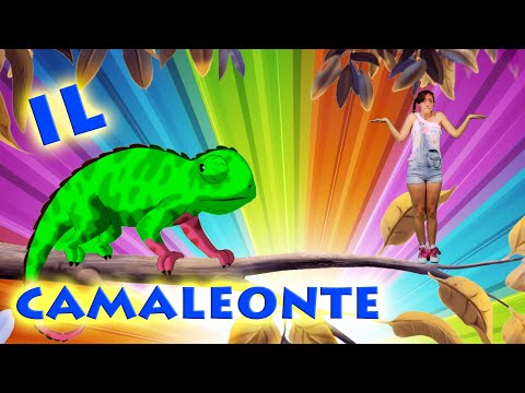 Video: Dove vive il camaleonte?