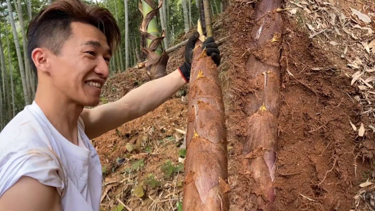 阿峰发现大黄芽，直接开始挖，没想到竟挖出大货！#农村生活#挖笋