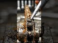 Chain rust remove with spray