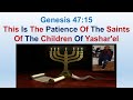 This Is The Patience Of The Saints Of The Children Of Yashar El Genesis 47 15 This Is The Patience Of The Saints Of The Children Of Yashar El Genesis 47 15