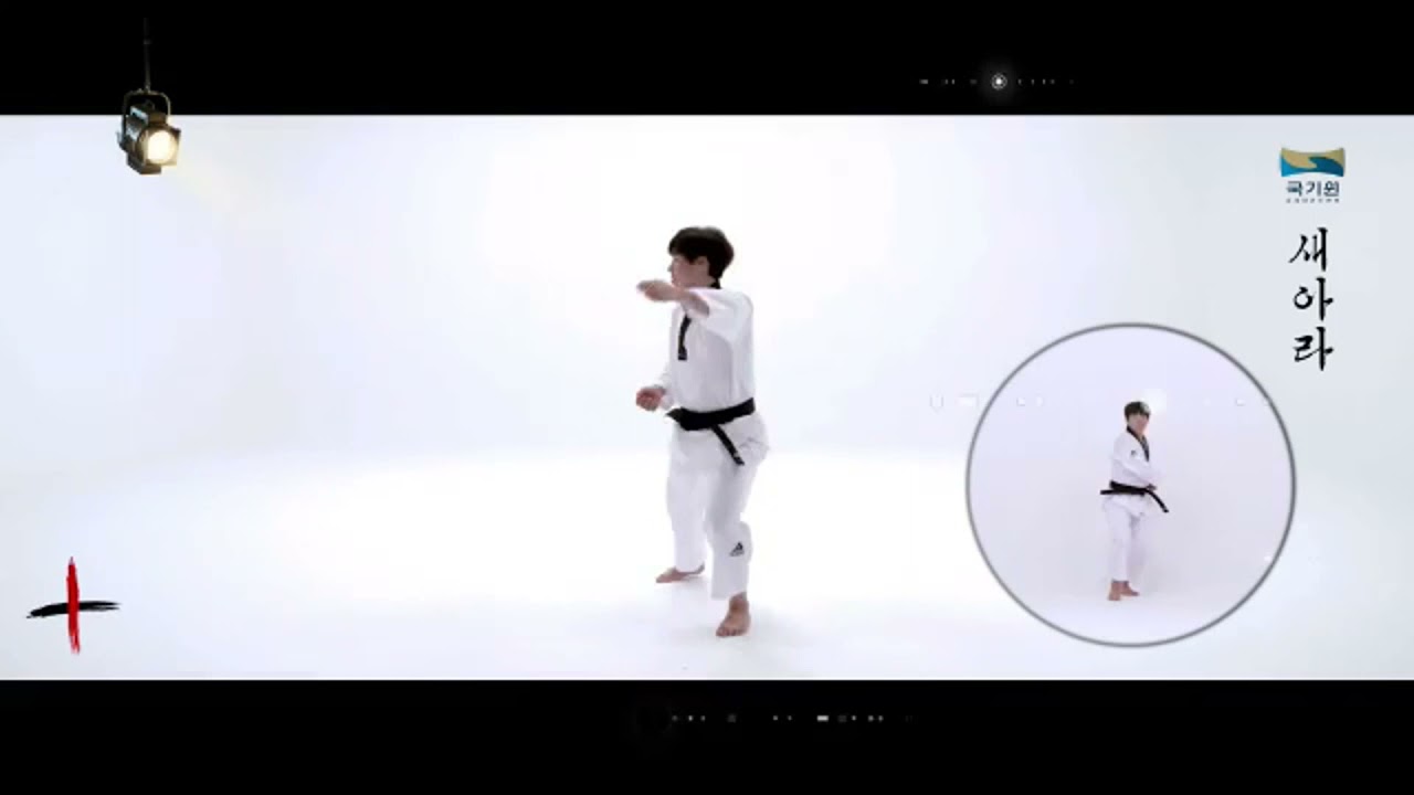 Taekwondo   Poomsae Saeara