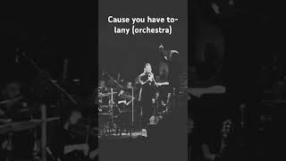 Cause You Have To orchestra lany foryourpage fyp shorts
