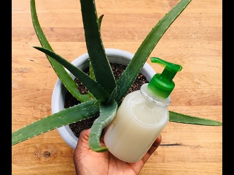 Come fare Shower Gel Fresh Aloe Vera