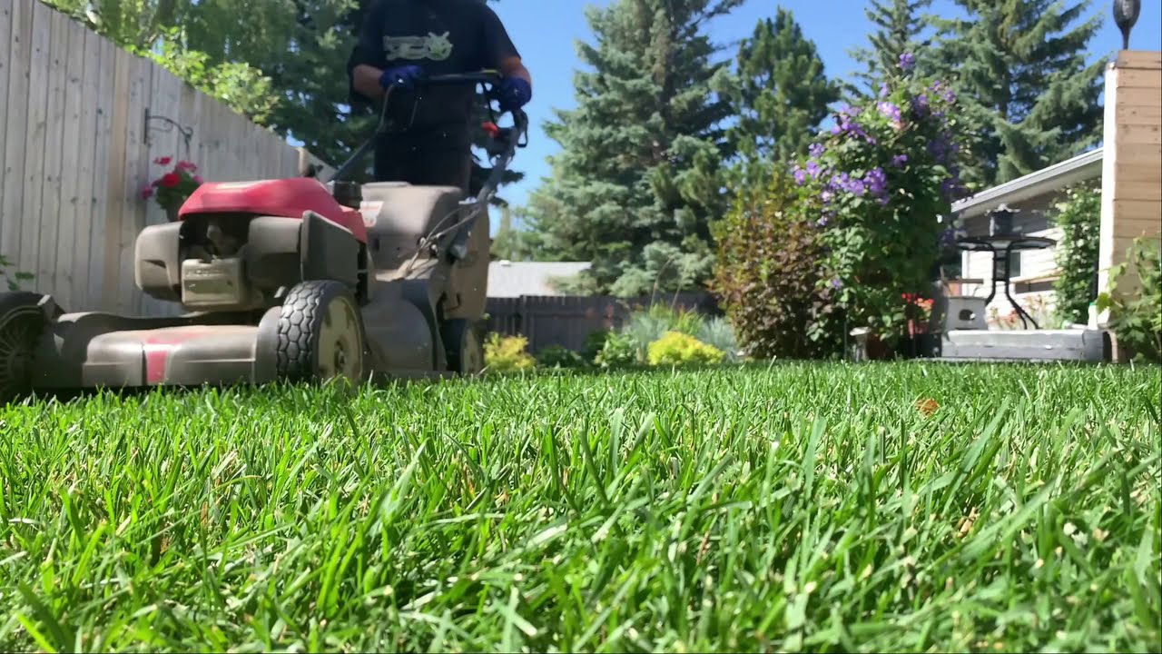 Silver Springs Grass Cutting Service by Legendary Lawns Calgary
