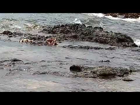 Vlog1 سافرت البادية كل نهار تنمشي الوليدية قريبة لينا بزاف عشاء بدجاج مشوي