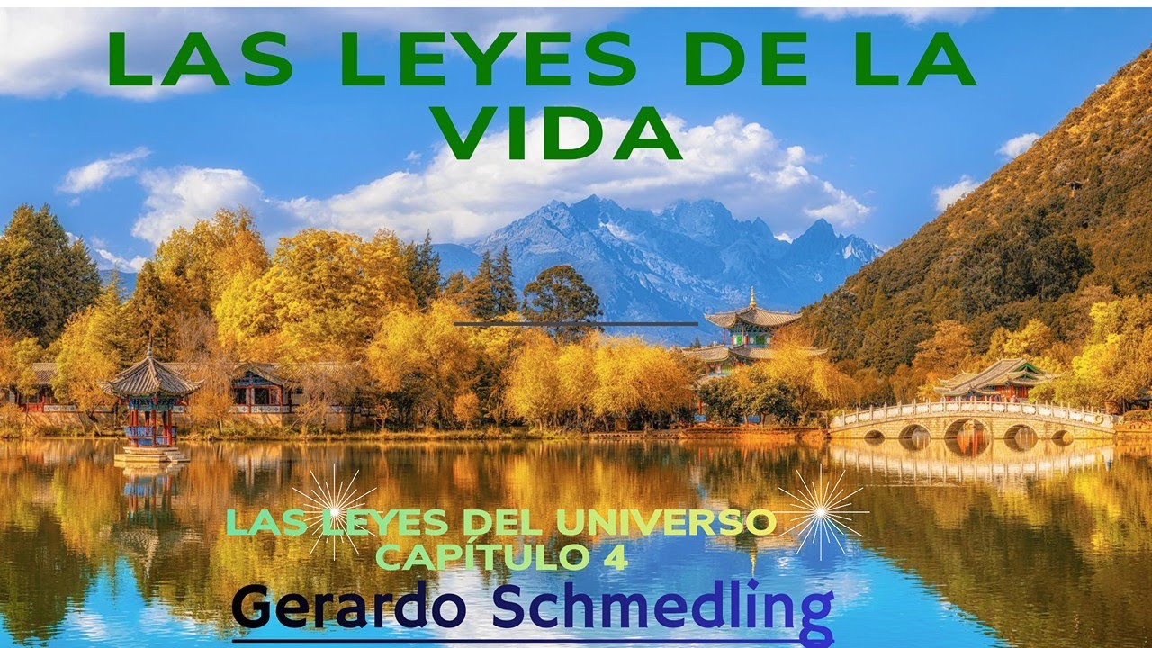 🔎LAS LEYES DE LA VIDA 🔍#espiritualidad #amor #budismo #reflexión #sicología #salud mental #emociones
