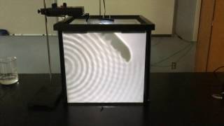 ABP   Ripple Tank Demonstration