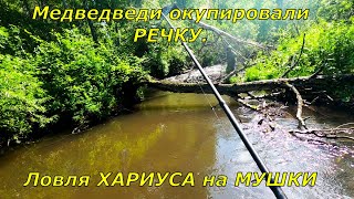 видео: Ловля ХАРИУСА/Рыбалка-Медвежий РАЙ/Сказали вода мутная ,не берет рыба!Наловили,засолили, да еще как! картинка: Ловля ХАРИУСА/Рыбалка-Медвежий РАЙ/Сказали вода мутная ,не берет рыба!Наловили,засолили, да еще как!