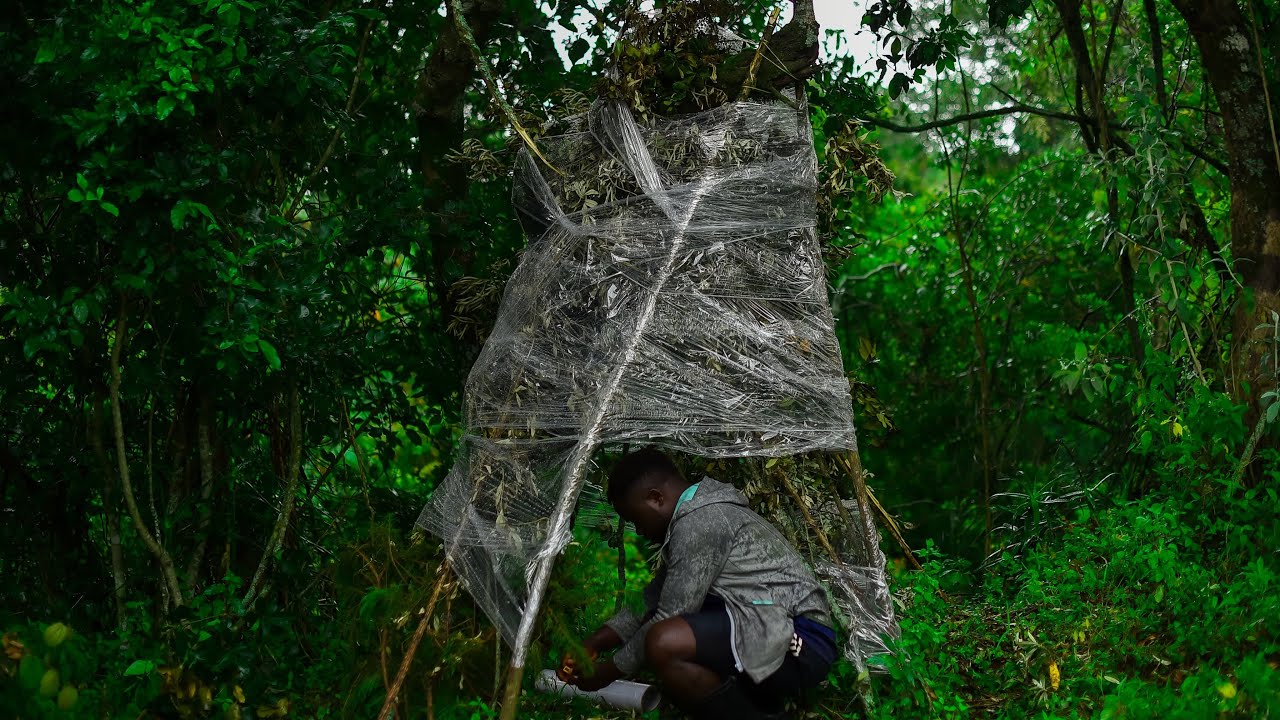 BUILDING warm bushcraft SHELTER WITH PLASTIC WRAP during heavy 🌧 ...