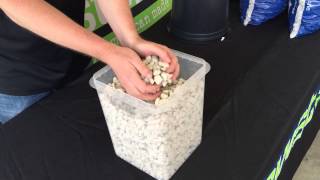 Gs-1 Hydro Stones The Ultimate In Hydroponic Growing