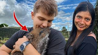 What Happened To Our Amazonian Pet? (update)