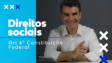 Quantos incisos tem o art 6?