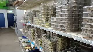 Vi̇p Tv Europe Netherlands Amsterdam Subscribe Please Like22.1.2026