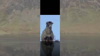 Red Pike from Buttermere - Relaxing Music