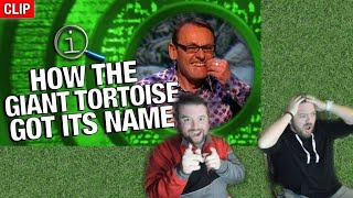 Celebrity A TASTY MISTAKE?! Americans React To "QI - How The Giant Tortoise Got Its Name" | FROM THE VAULT Net Worth
