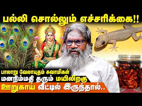மஹாலக்ஷ்மி வீட்டிற்கு வர வேண்டுமா? - Palaru Swamigal | Lakshmi Kadatcham | IBC Bakthi