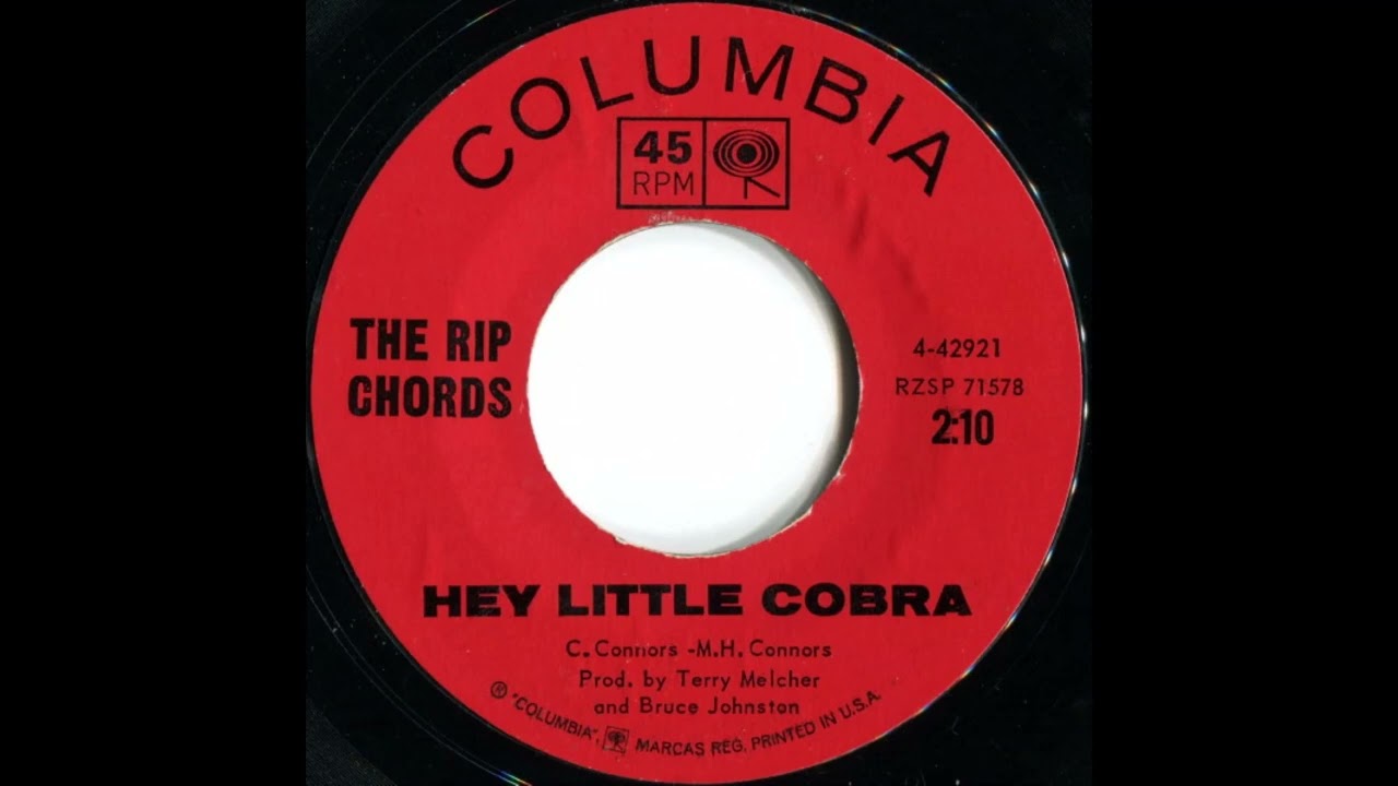 The Rip Chords – Hey Little Cobra - YouTube