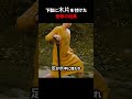 下駄に木片を付けた衝撃の結果