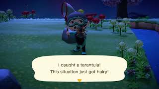100% Luck vs. Tarantulas