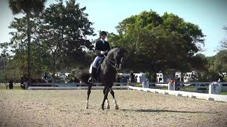 Kaiman Wins Fourth Level Test 1 Class with 73.158% at White Fences Eq. Center, FL - February 2024