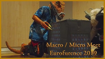 Macro/micro Meet Macrofurs at Eurofurence 2019 EF25 for Macrophile Furs