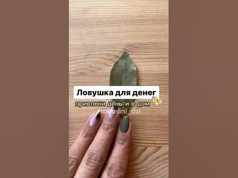 🔥»ЛАВРУШКА-ЛОВУШКА»🔥 - YouTube