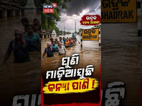 ପୁଣି ମାଡ଼ିଆସୁଛି ବନ୍ୟାପାଣି ! Odisha Flood News | Bhadrak Flood | Salandi River Water Level Rises