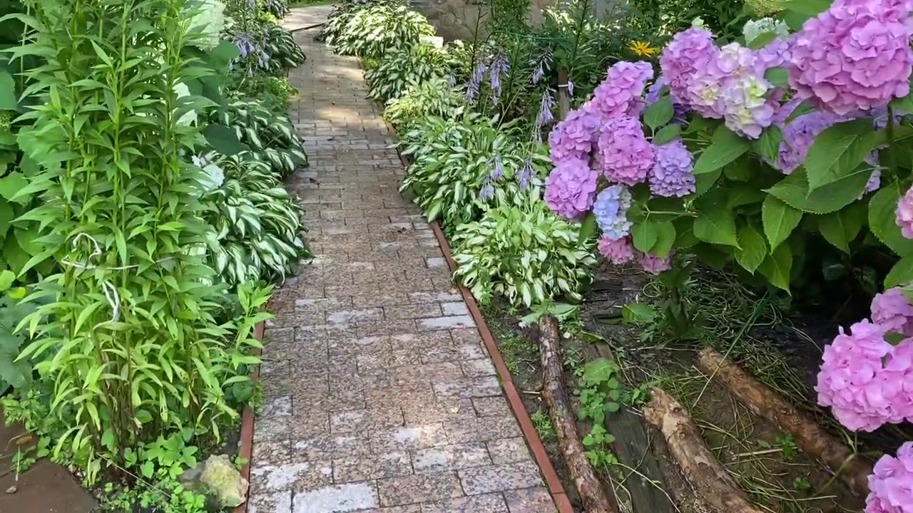 Мой любимый сад приносит мне хороший доход