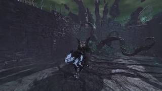 Spooky Jackal - Guild Wars 2