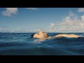 Jérémy Frerot - Gamins des sables (Visualizer)