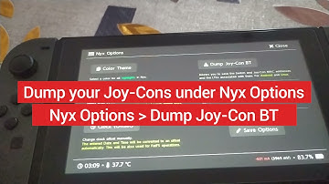 Lakka - How to Install: Switch
