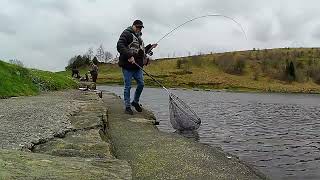 231. Flies That Catch Rod Bending Trout - Fly Fishing UK