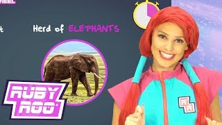 Learning Animals! - Ruby Roo's Magic Wheel | Kids Videos! Animals For Kids | Sandaroo