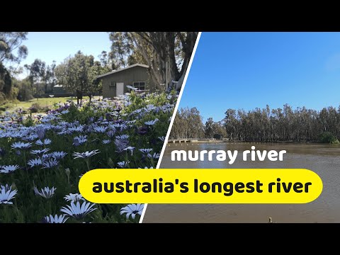 Video: Apa Sungai Terpanjang Di Australia?