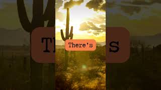 Arizona Is Running Out Of Water And Its Changing Everything