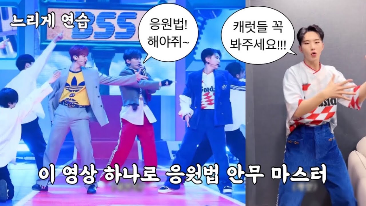 [세븐틴/호시] 파이팅 해야지 응원법 (거울모드/느리게)