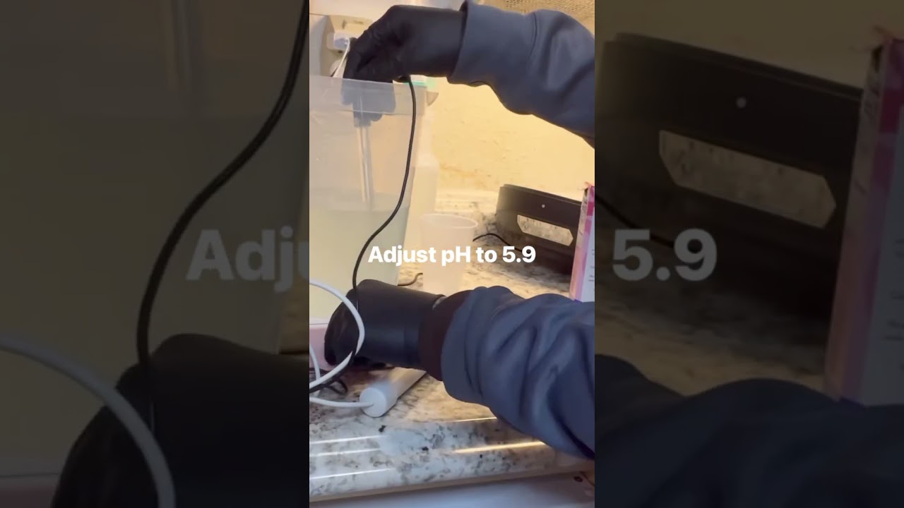 Pt. 2: Making TC media at home